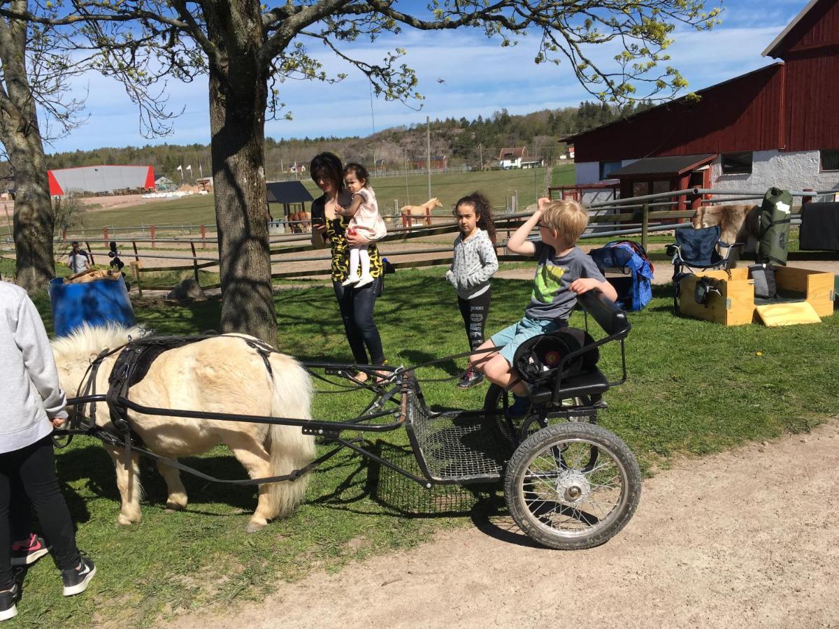 Toric Farmlodge * Brastad