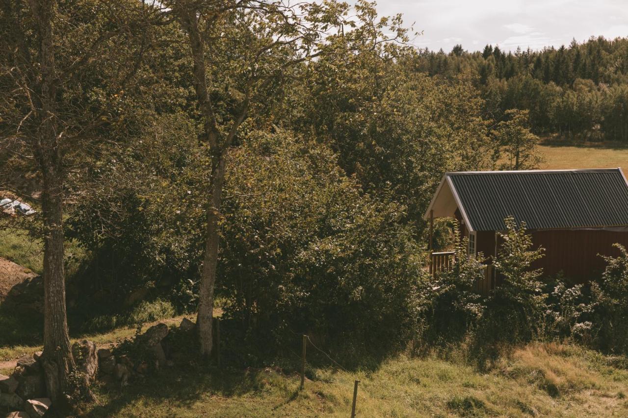 Farm stay Toric Farmlodge